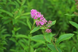 94646 釧路を知ろう Discover Kushiro